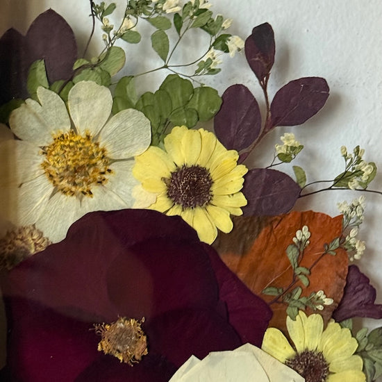 Sbírám kaštánky pro štěstí