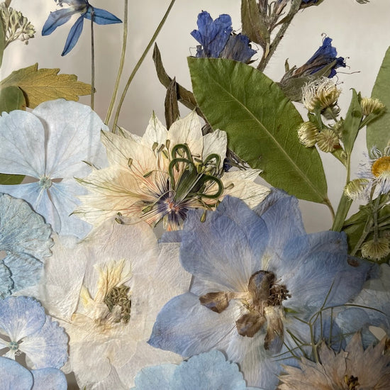 Valčík na zamrzlém jezeře