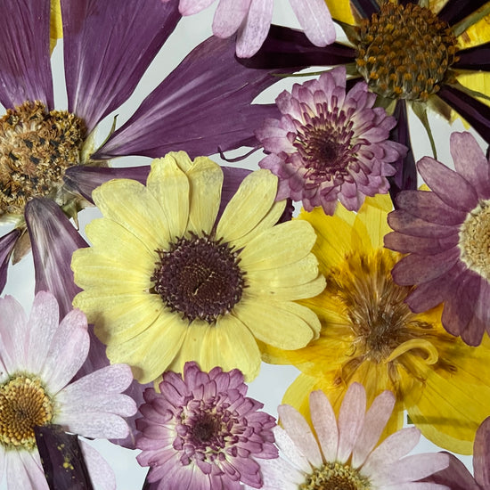 Filosofská květologie