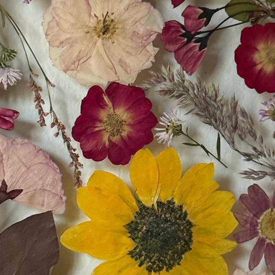 Posvítí ti na cestu