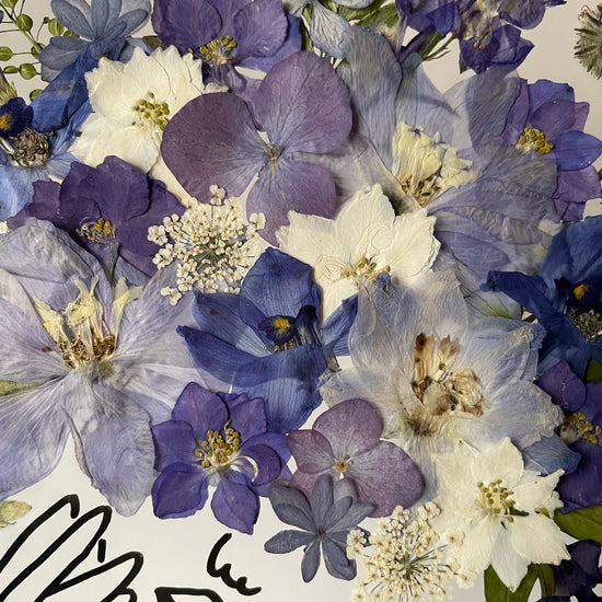 Něžná vodní dryáda