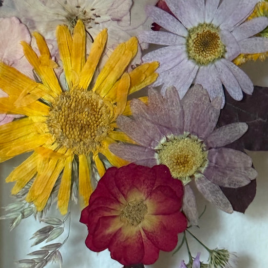 Tajemství proutěného košíku