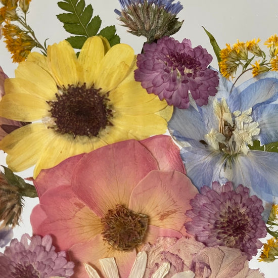 Malé rozjasnění do podzimního dne