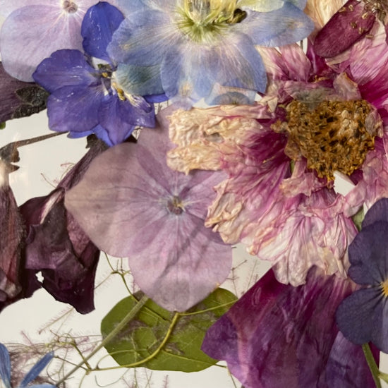 Šepot modrého soumraku