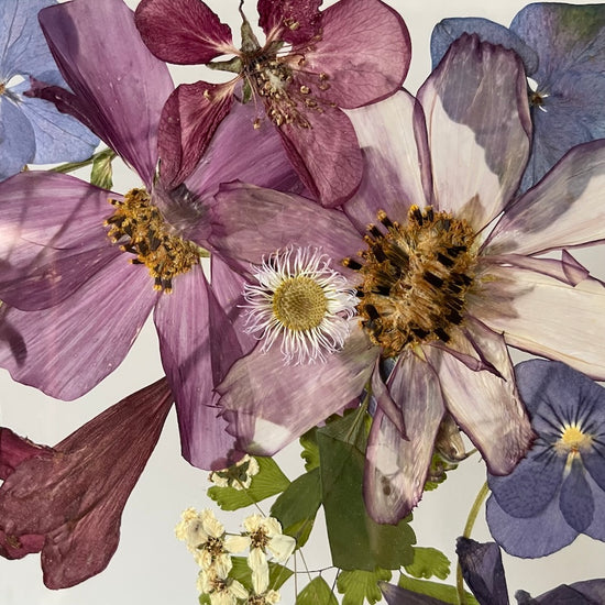 K pramenům lesní říčky