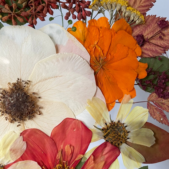 Něžné doteky podzimu