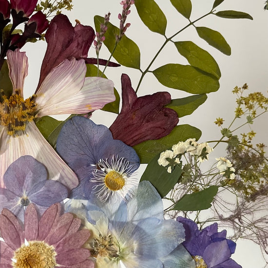 Mlha přede mnou, mlha za mnou