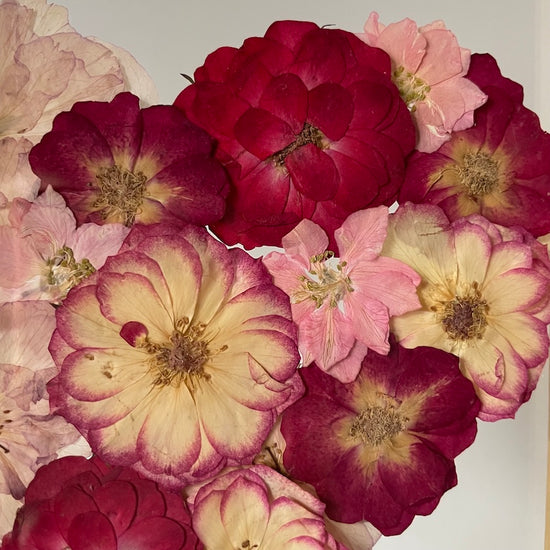 Láska, která hřeje