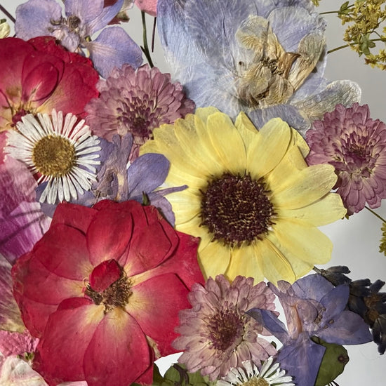 Léto na chalupě u lesa