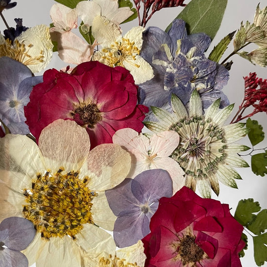 Klidná květinová nostalgie