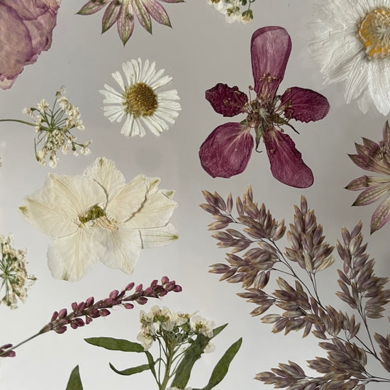 První jemné doteky zimy