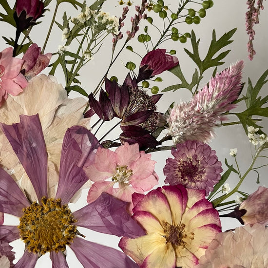 Třapatkové růžovo