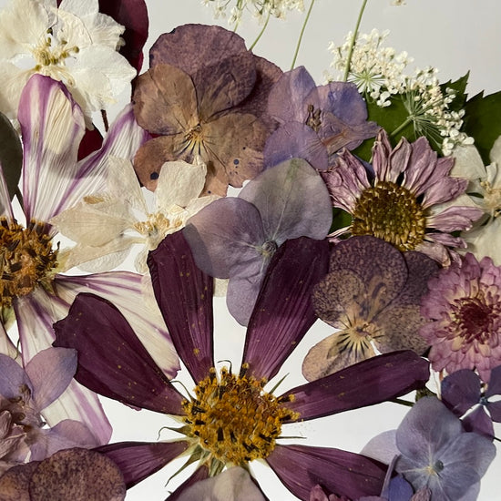 Kvítíčko fialkové