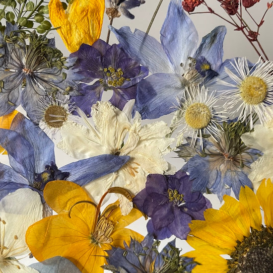 Dnes nefouká vítr, miláčku