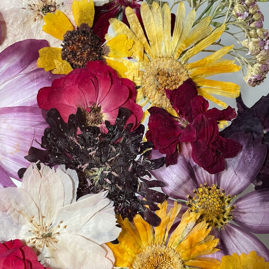 Tisíc dnů mezi námi