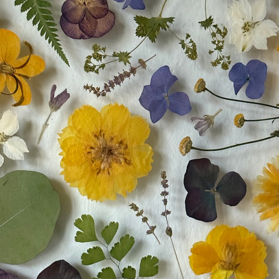 Všechny tvary přírody