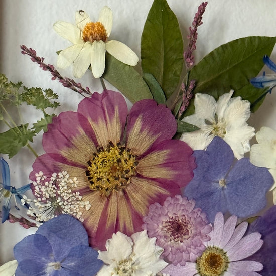 Rosa na potočním kvítí