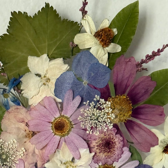 Rozkvetlý horský průsmyk