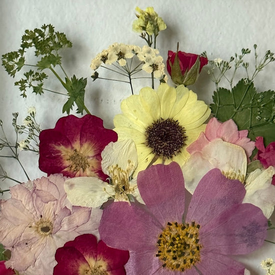 Pohled do růžové zahrady