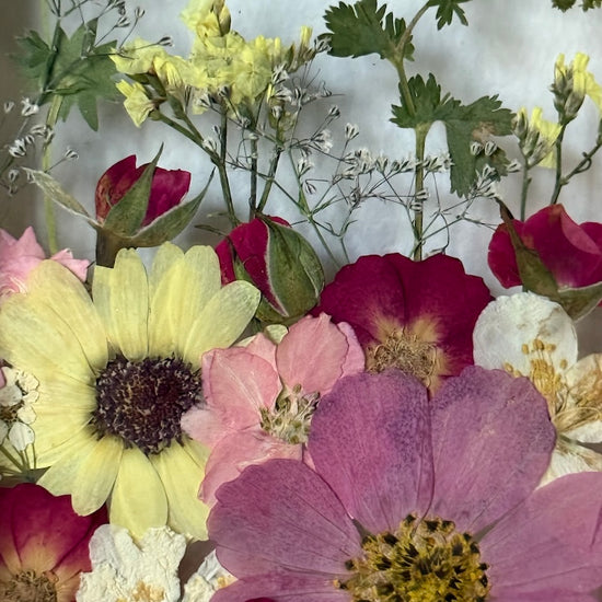 Nad naší zahrádkou