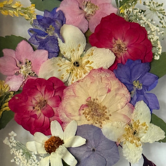 Svěže jarní obrázek