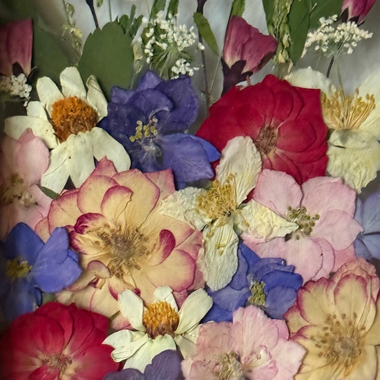 Údolí plné vůní