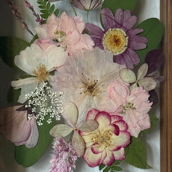 Růžový závojíček