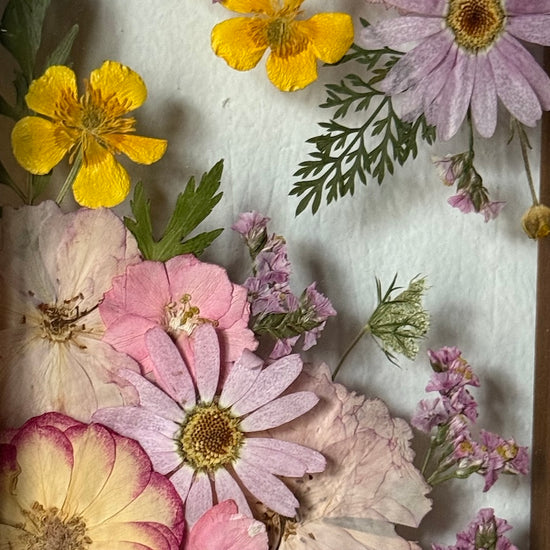 Přátelství pryskyřníčků