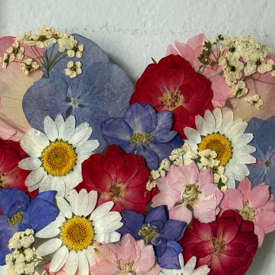 Láska v plném květu