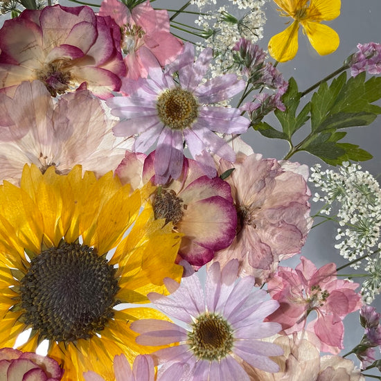 Růžový vršíček