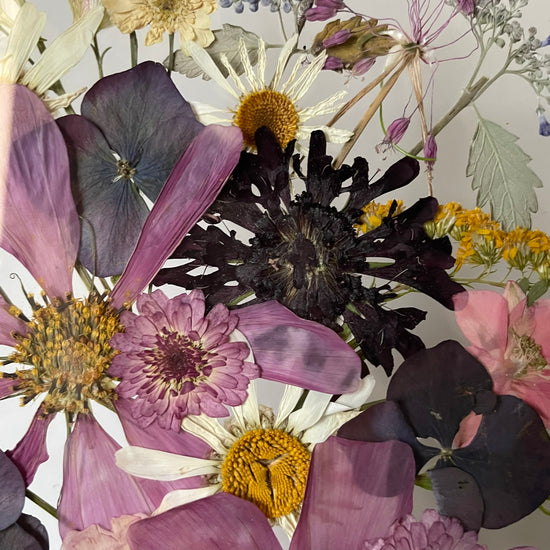 Moudrost lesních duchů zvím