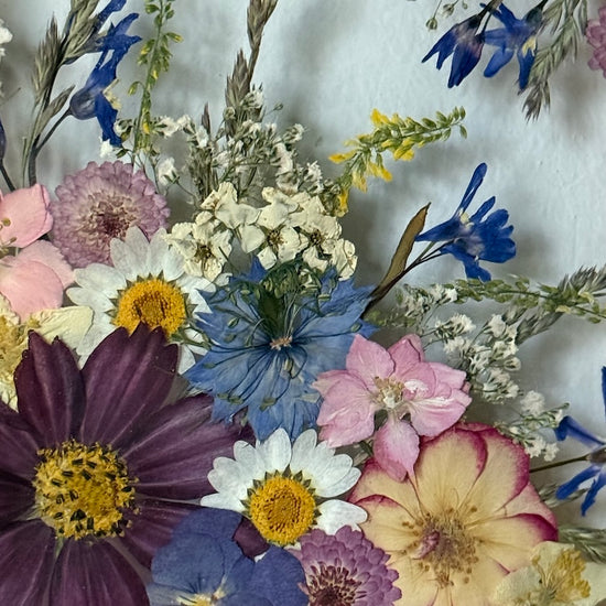 Píseň nového jitra