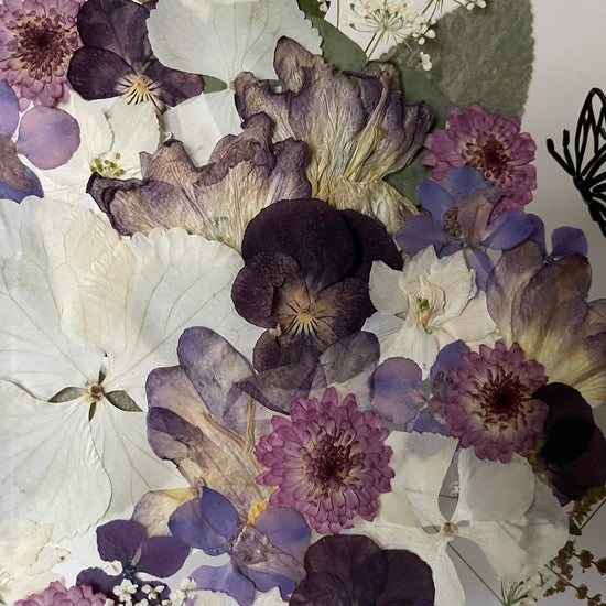 Noblesní zámecká paní