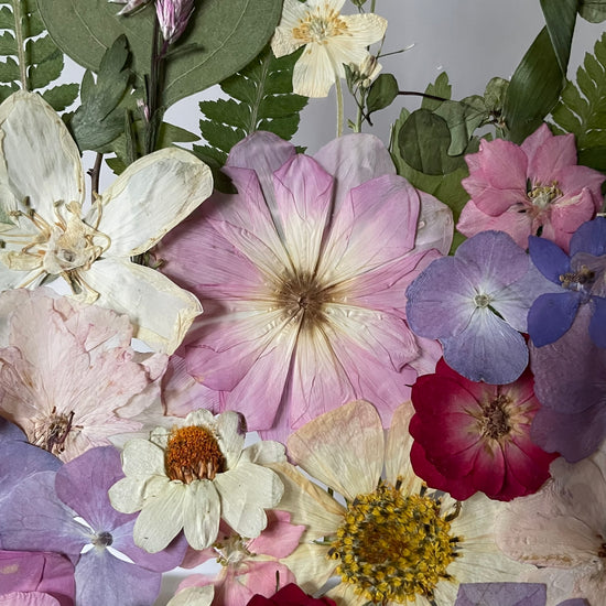 Pod jetelíčkem samé něžnůstky