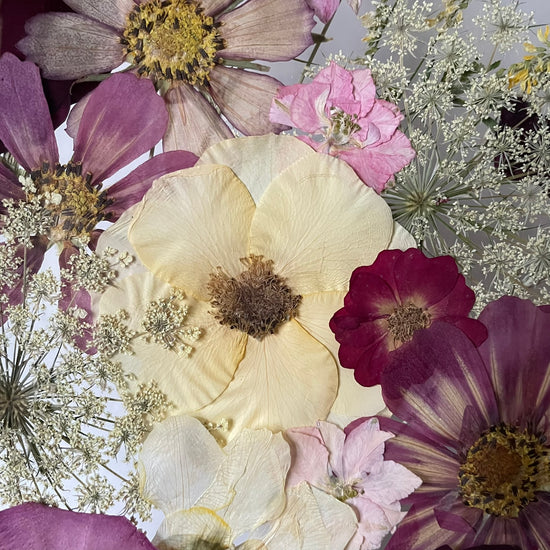 Královská květena