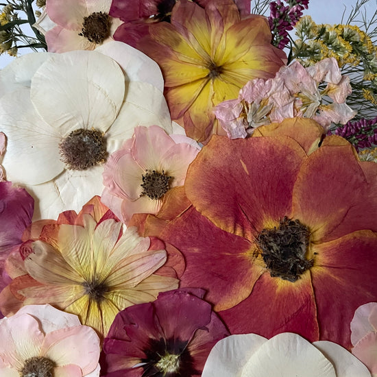 Slunce se rozlévá po kraji dne