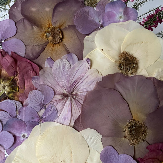 Večer dýchá barvou klidu