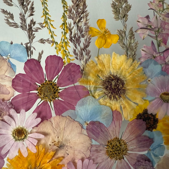 Všechny barvy západu slunce