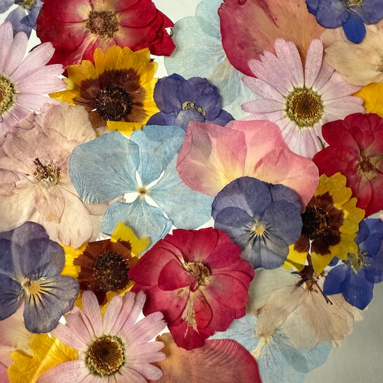 Všechny barvy lásky