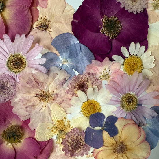 Když květy milují