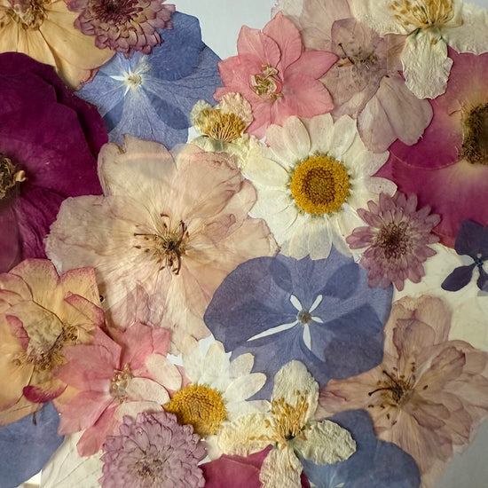 Plné květů, plné citu