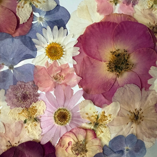 Díky tobě rozkvétám