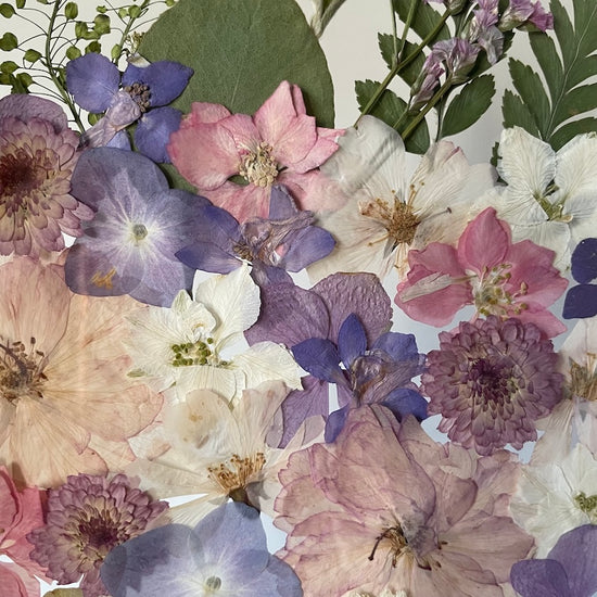 V rozkvetlém proudu dní