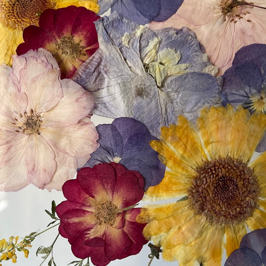 Hledej mě v srdci přírody