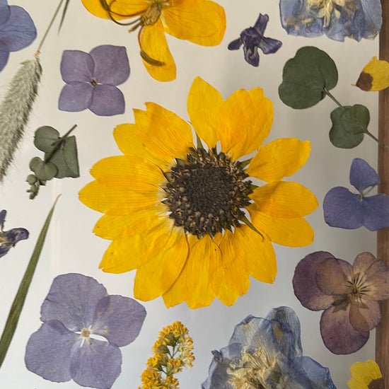 Spojení dvou letních barev