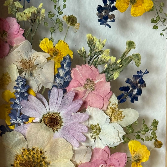 Malý jarní obrázek