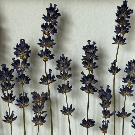 Vůně léta u babičky