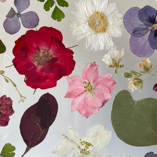 Ó růžičko voňavá