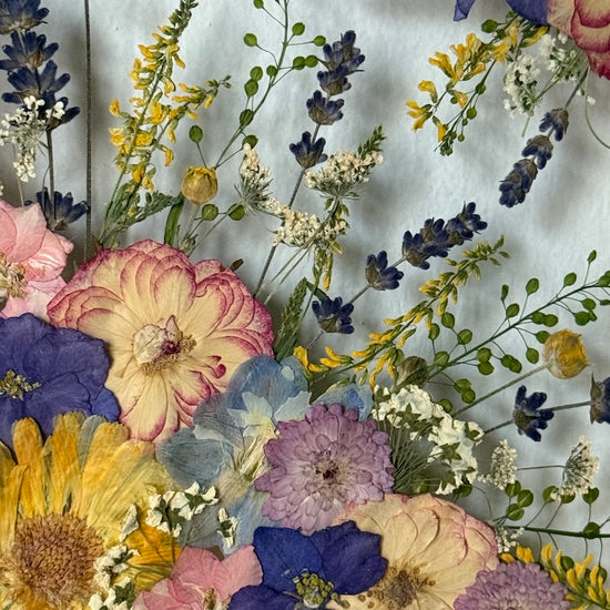 Kde je léto, tam je radost