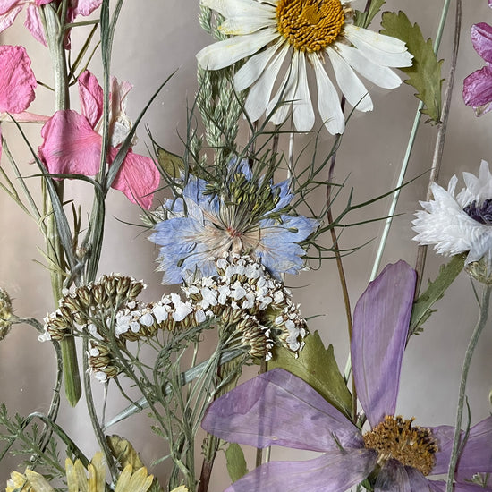 V obklopení kopretin